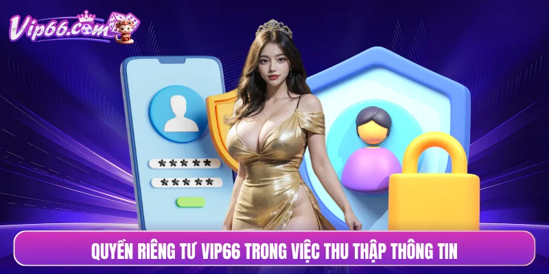Quyền riêng tư VIP66 trong việc thu thập thông tin