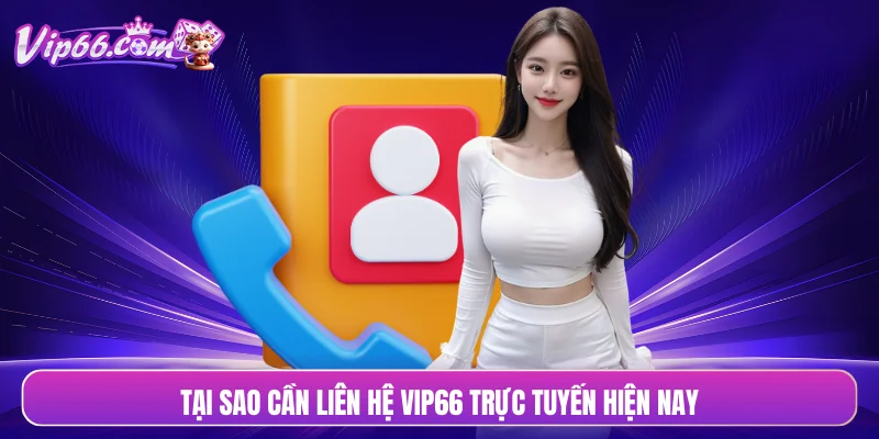 Tại sao cần liên hệ VIP66 trực tuyến hiện nay