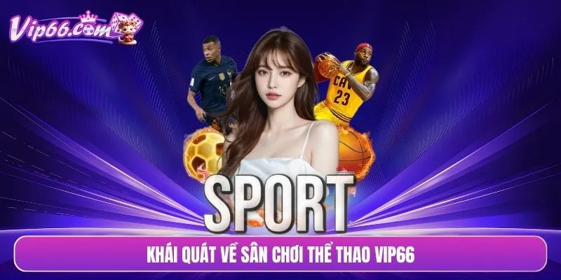 Khái quát về sân chơi thể thao VIP66